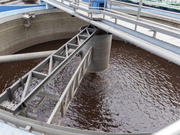 SLUDGE PROCESSES