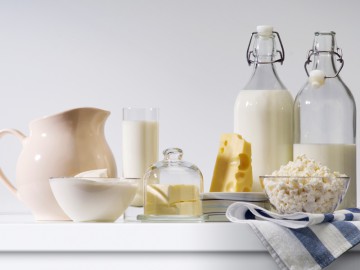 DAIRY AND DAIRY PRODUCTS INDUSTRY